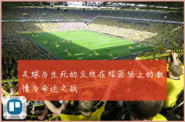 足球与生死的交织在绿茵场上的激情与命运之战
