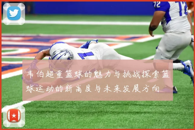 韦伯超重篮球的魅力与挑战探索篮球运动的新高度与未来发展方向