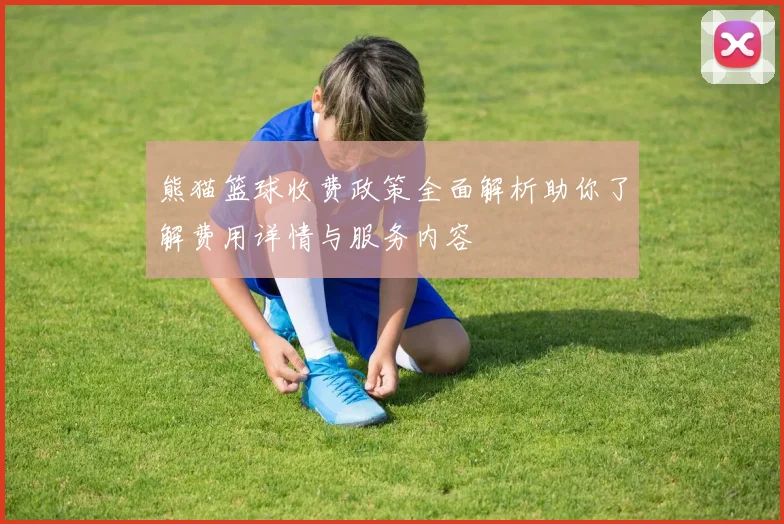 熊猫篮球收费政策全面解析助你了解费用详情与服务内容