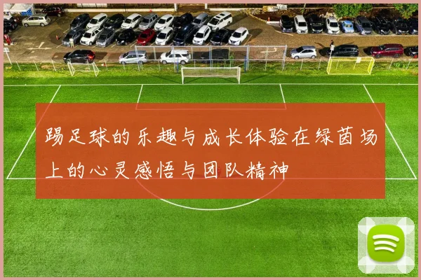 踢足球的乐趣与成长体验在绿茵场上的心灵感悟与团队精神